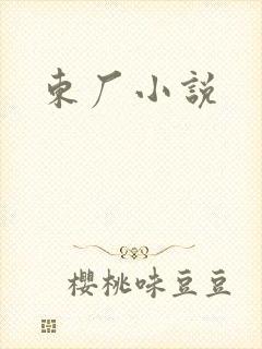 东厂小说