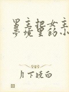 男主把女主拖进梦境里的小说