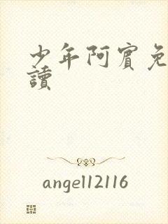 少年阿宾免费阅读