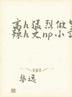 高h猛烈做哭高辣h文np小说