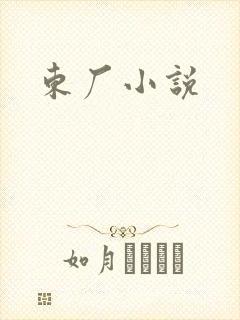 东厂小说