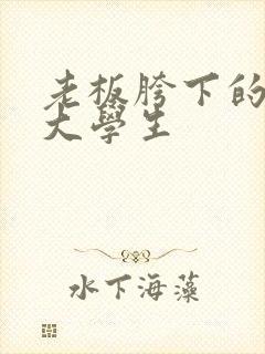 老板胯下的秘书大学生