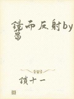 镜面反射by九葛