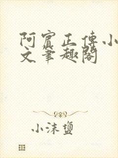 阿宾正传小说全文笔趣阁