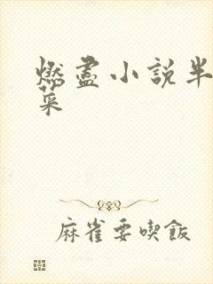 燃尽小说半截白菜