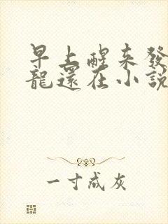 早上醒来发现巨龙还在小说