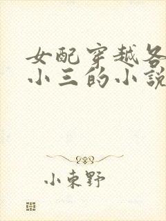 女配穿越各个做小三的小说