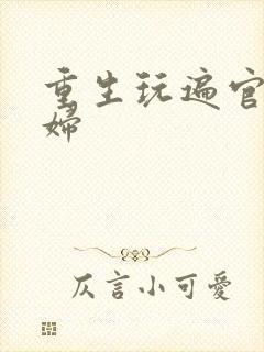 重生玩遍官场贵妇