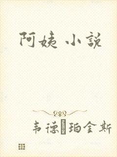 阿姨 小说