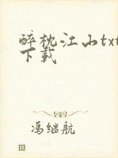 醉枕江山txt下载