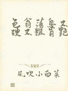 色翁荡息又大又硬又粗肖艳