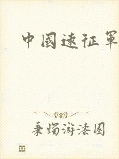 中国远征军小说