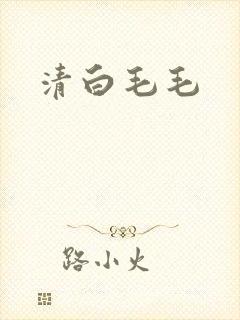 清白毛毛
