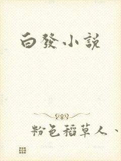 白发小说