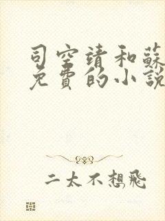 司空靖和苏月汐免费的小说笔趣阁