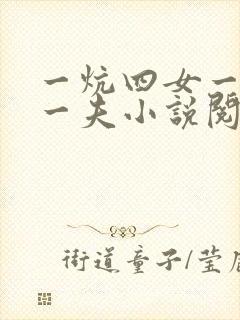 一炕四女一共侍一夫小说阅读