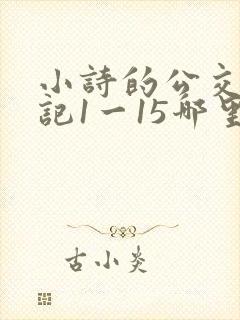 小诗的公交车日记1一15哪里能看