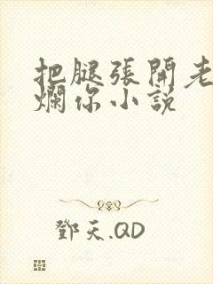 把腿张开老子臊烂你小说