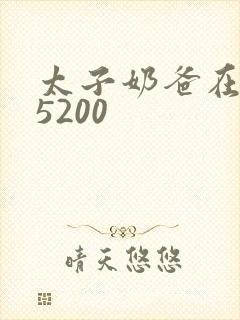 太子奶爸在花都5200