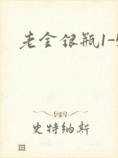 老金银瓶1-5