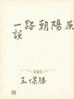 一路朝阳原著小说