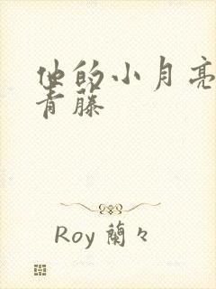 他的小月亮by青藤