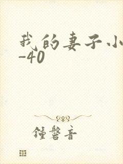我的妻子小谨1-40