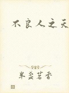 不良人之天罡传