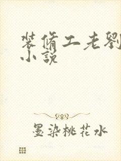 装修工老刘林雪小说