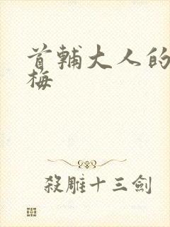 首辅大人的小青梅