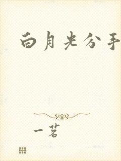 白月光分手日常