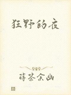 狂野的夜