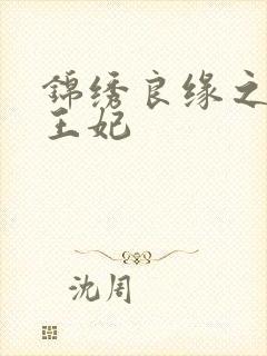 锦绣良缘之北地王妃