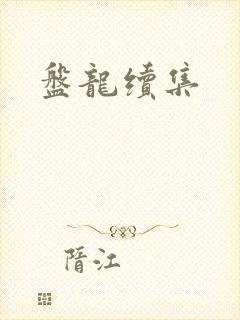 盘龙续集