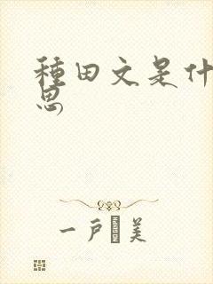 种田文是什么意思