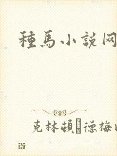 种马小说网