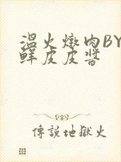 温火炖肉BY海鲜皮皮酱