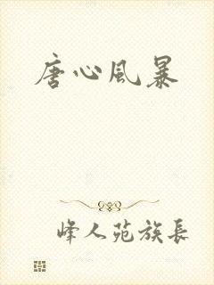 唐心风暴