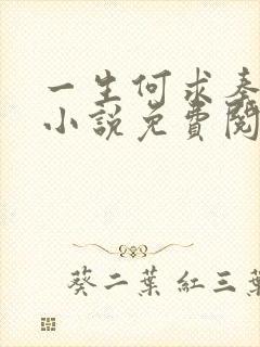 一生何求秦菲雪小说免费阅读