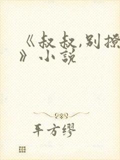 《叔叔,别撩我》小说