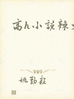 高h小说辣文