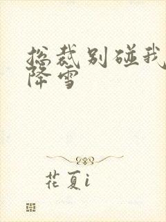 总裁别碰我 韩降雪