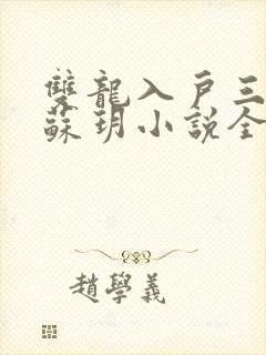 双龙入户三人行苏玥小说全文阅读