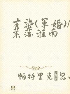 有染(军婚)/叶落淮南