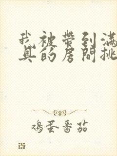 我被带到满是玩具的房间挑调作文