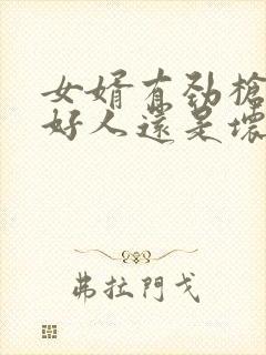 女婿有劲枪枪是好人还是坏人