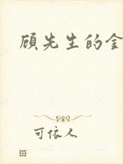 顾先生的金丝雀