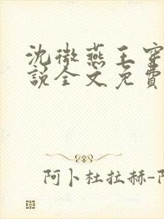 沈微燕王穿越小说全文免费阅读