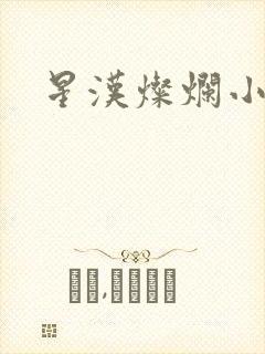 星汉灿烂小说