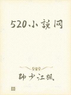 520小说网